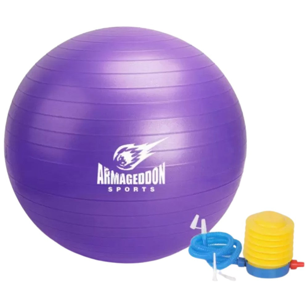 Gymnastikball mit einer Pumpe 85 cm / Gymnastic Ball mit einer Pumpe 85 cm