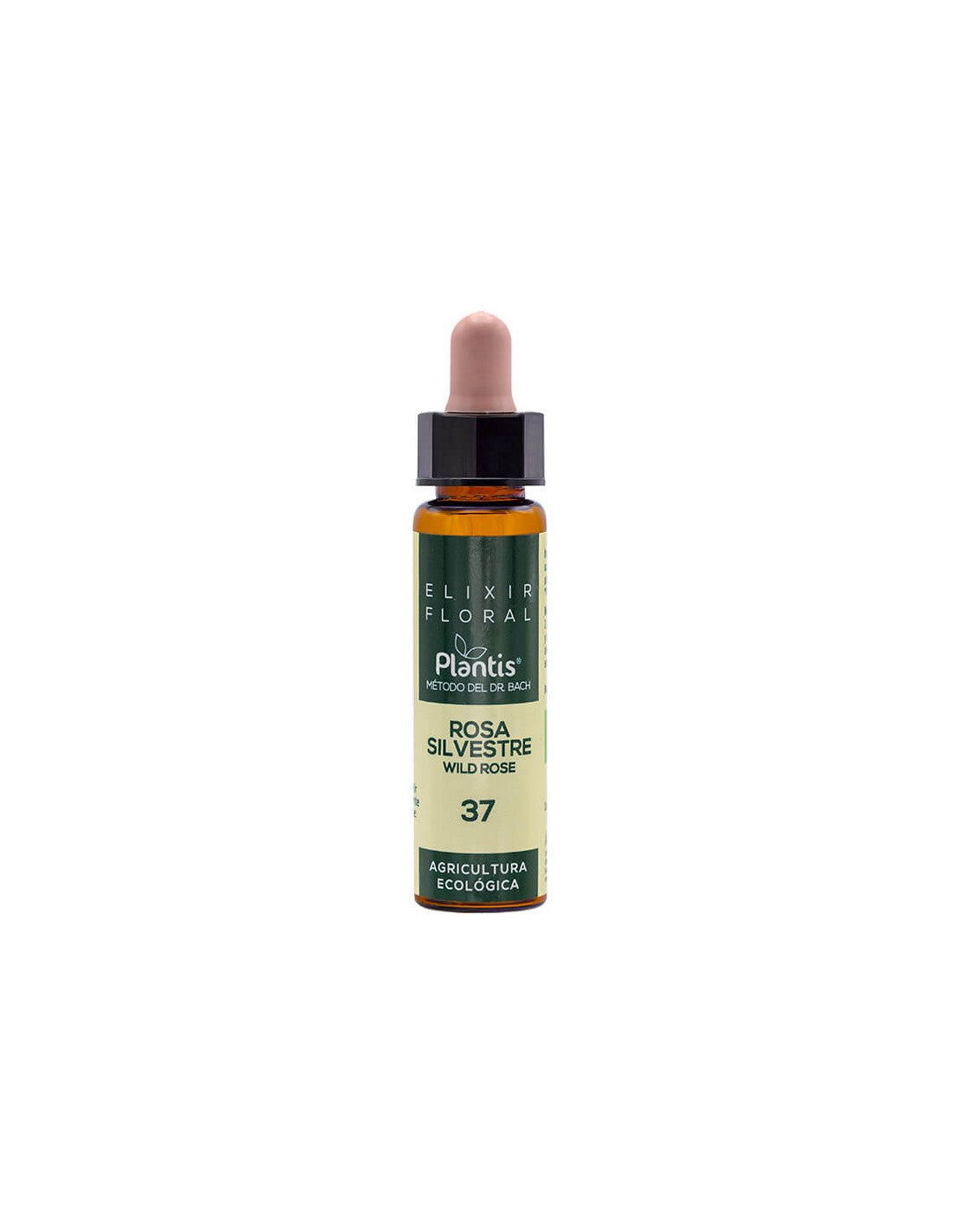 Hagebutte – Blütenelixier gegen Apathie – Tropfen nach der Methode von Dr. Bach, 10 ml