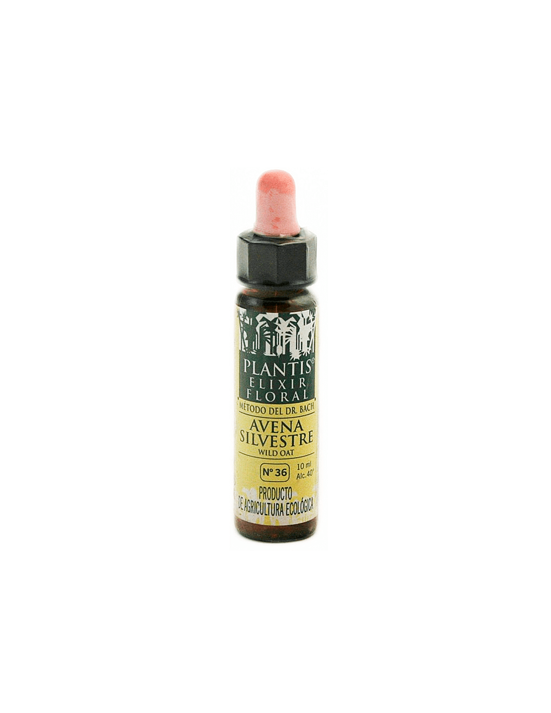 Wilder Hafer – Blütenelixier zur Steigerung des Selbstwertgefühls – Dr. Bach Tropfen, 10 ml