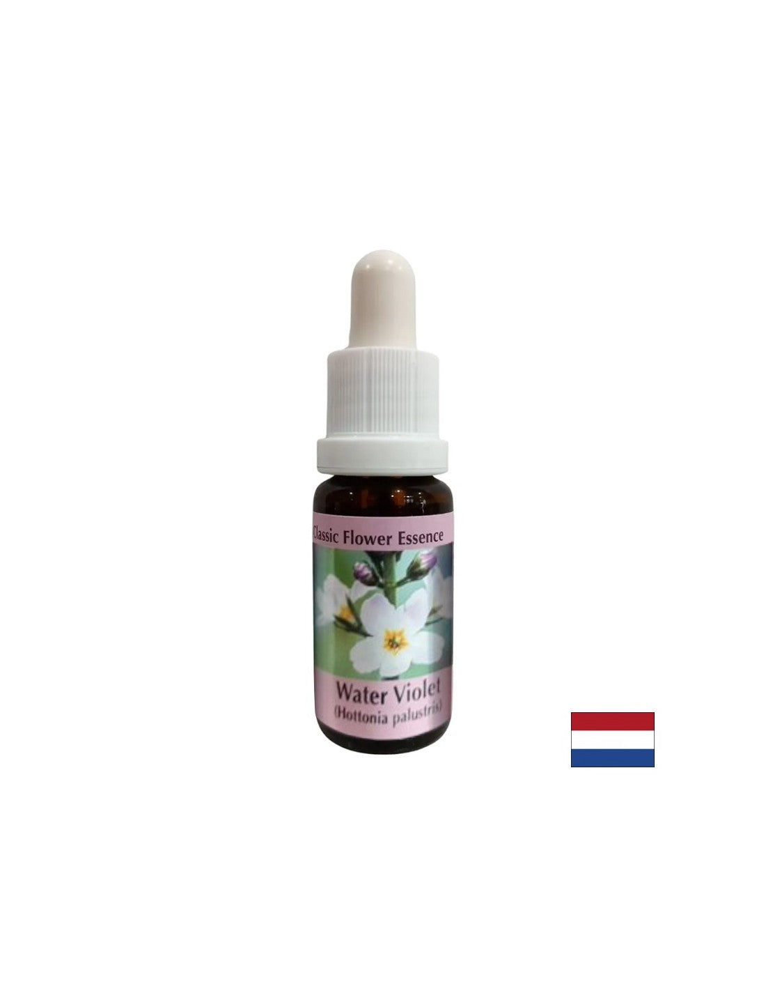 Fördert die Kommunikation – Swamp Iris Essence, Tropfen 15 ml