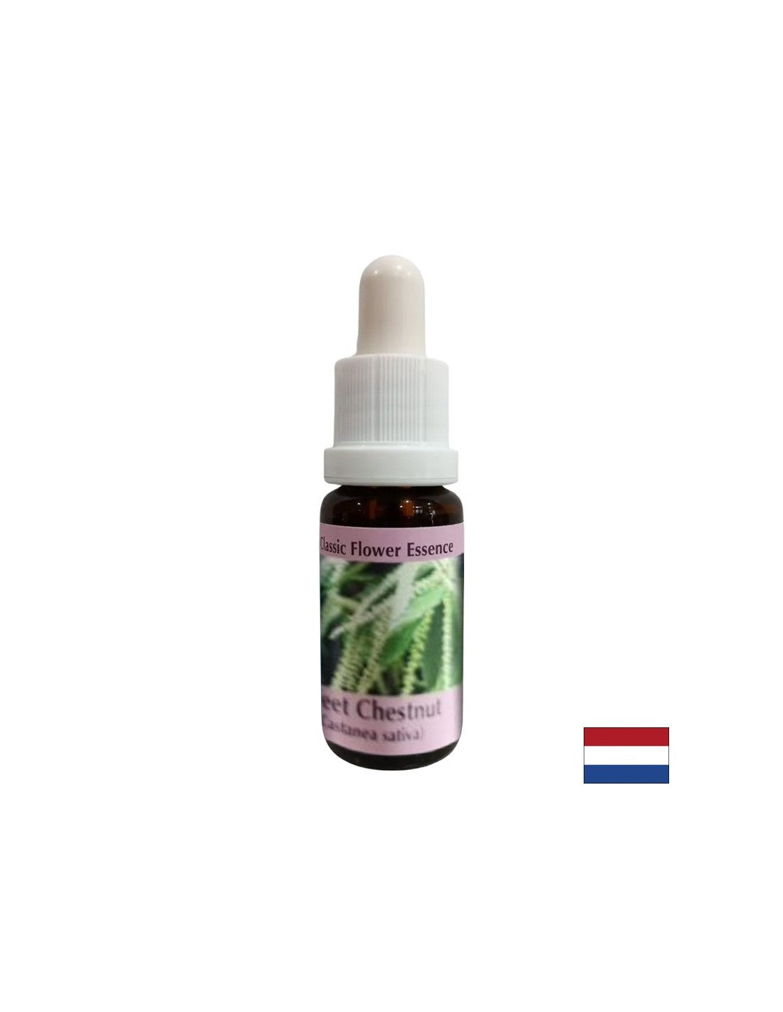 In Zeiten der Verzweiflung und Sackgasse – Sweet Chestnut Essence, Tropfen 15 ml