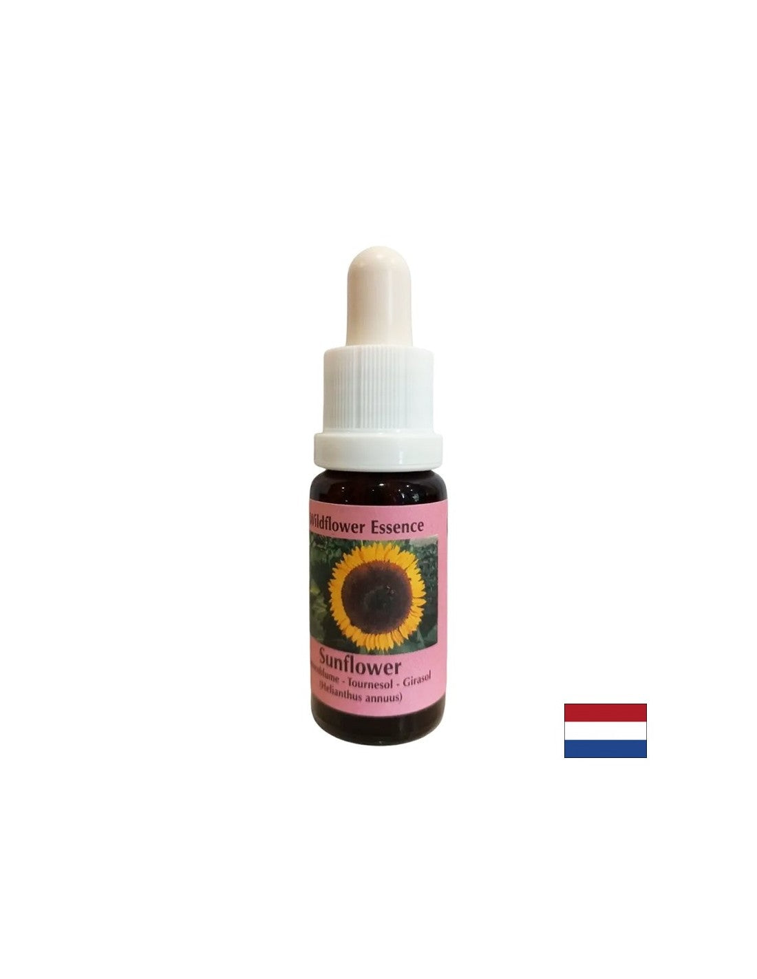 Überwindet Konflikte mit den Eltern, stärkt Selbstbewusstsein und Verantwortung – Sonnenblumenessenz Nr. 16, Tropfen 15 ml