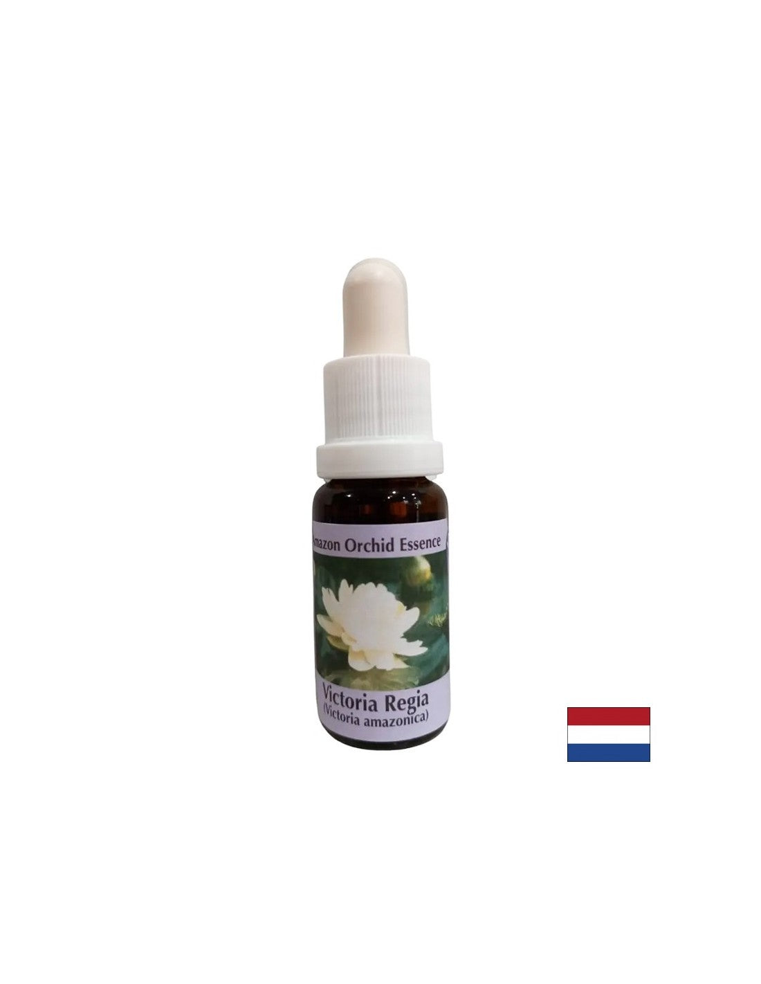 Für spirituelles Bewusstsein – Victoria Regia Essence Nr. 20, 15 ml Tropfen