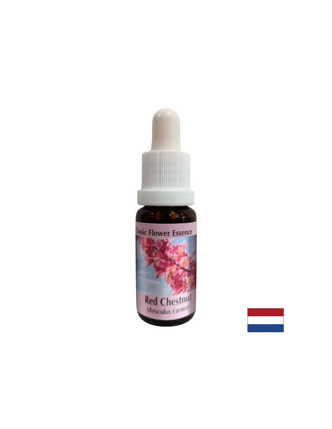 Wenn Sie sich Sorgen um andere machen – Rote Rosskastanien-Essenz Nr. 25, Tropfen 15 ml