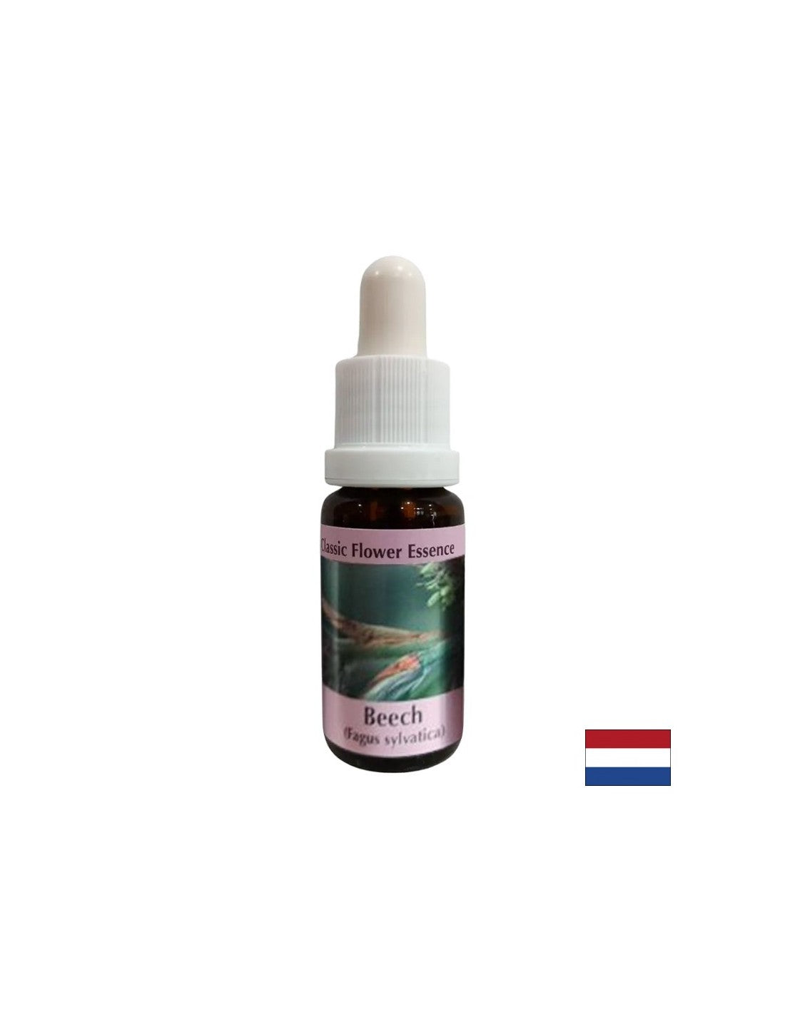 Für die Entwicklung von Toleranz und Großzügigkeit – Buchenessenz Nr. 3, Tropfen 15 ml