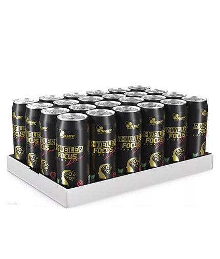 R-Zweiler Focus Drink Null / 24 x 330 ml