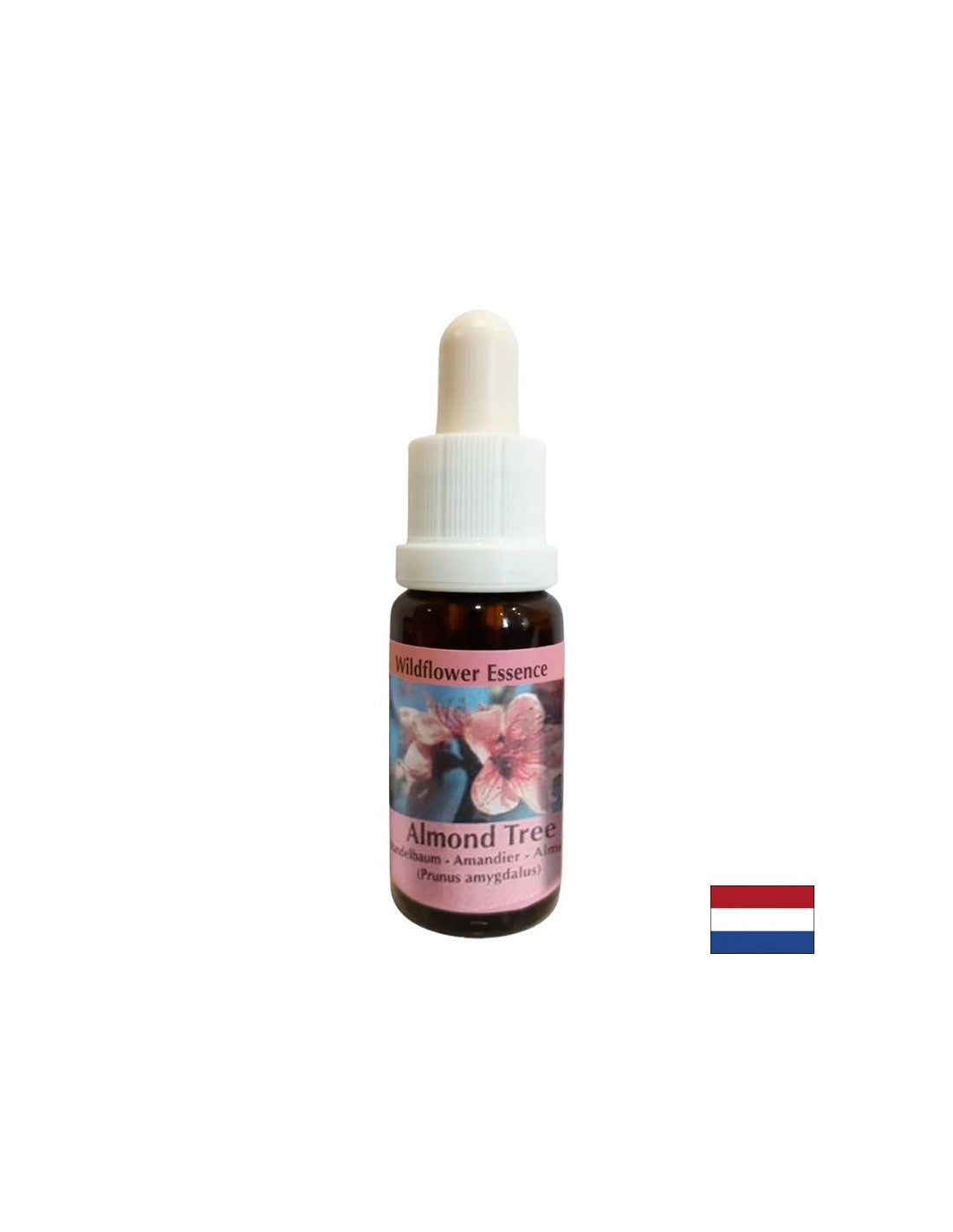 Verjüngt den Körper und regt eine gesunde Ernährung an – Mandelessenz Nr. 31, Tropfen 15 ml