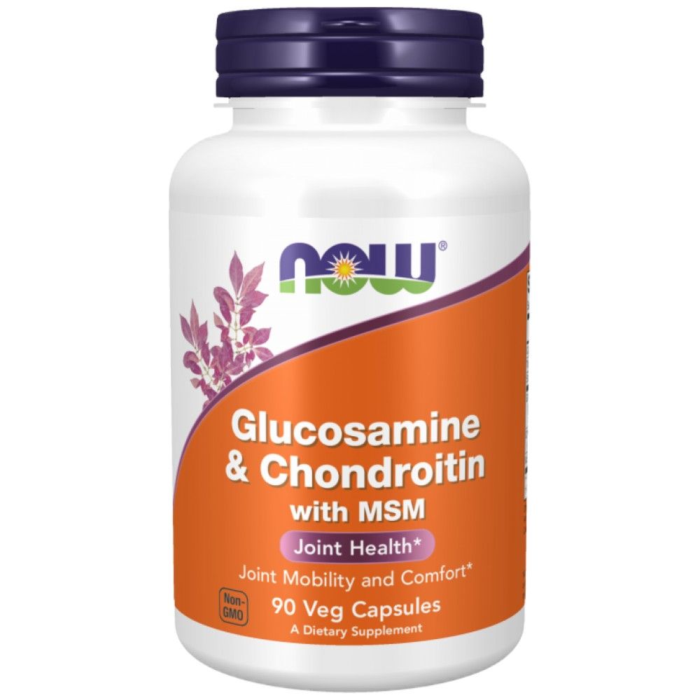 Glucosamin & Chondroitin + MSM - 90 Kapseln