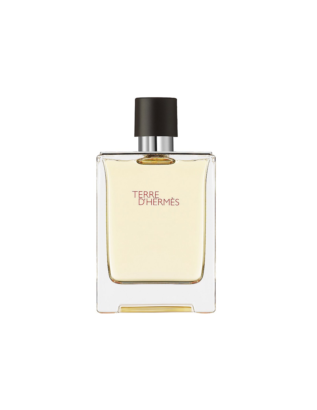 Hermes terre d'Hermes eau de Toilette Spray 100ml