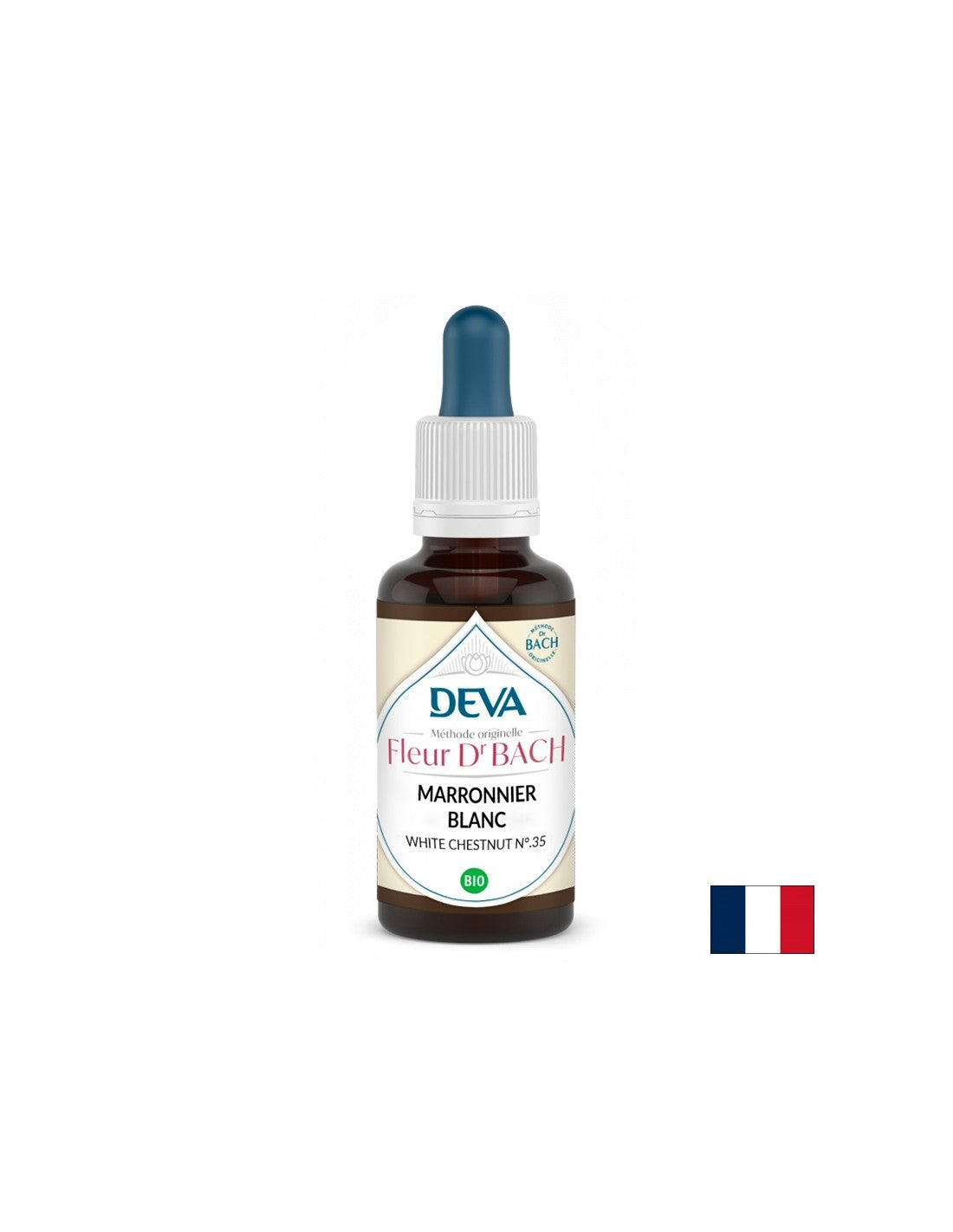 Gedächtnis und Konzentration - Rosskastanie, Bachtropfen Nr. 35, 15 ml