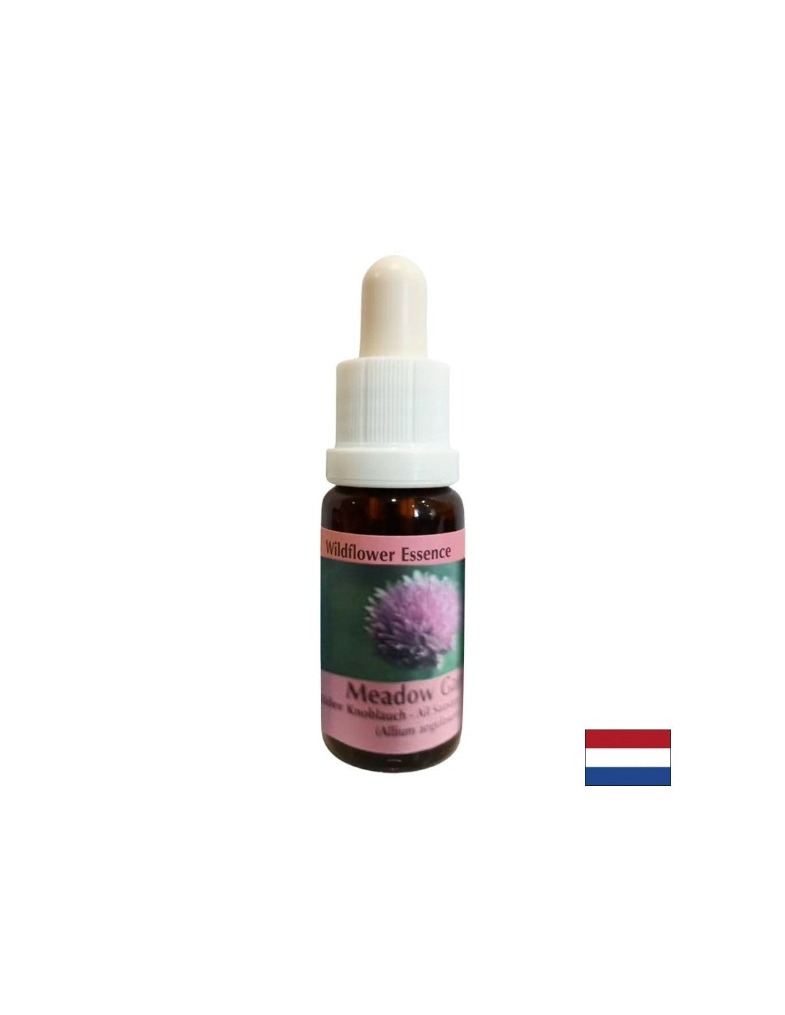 Regt Willenskraft und Stoffwechsel an – Zwiebelessenz Nr. 39, Tropfen 15 ml