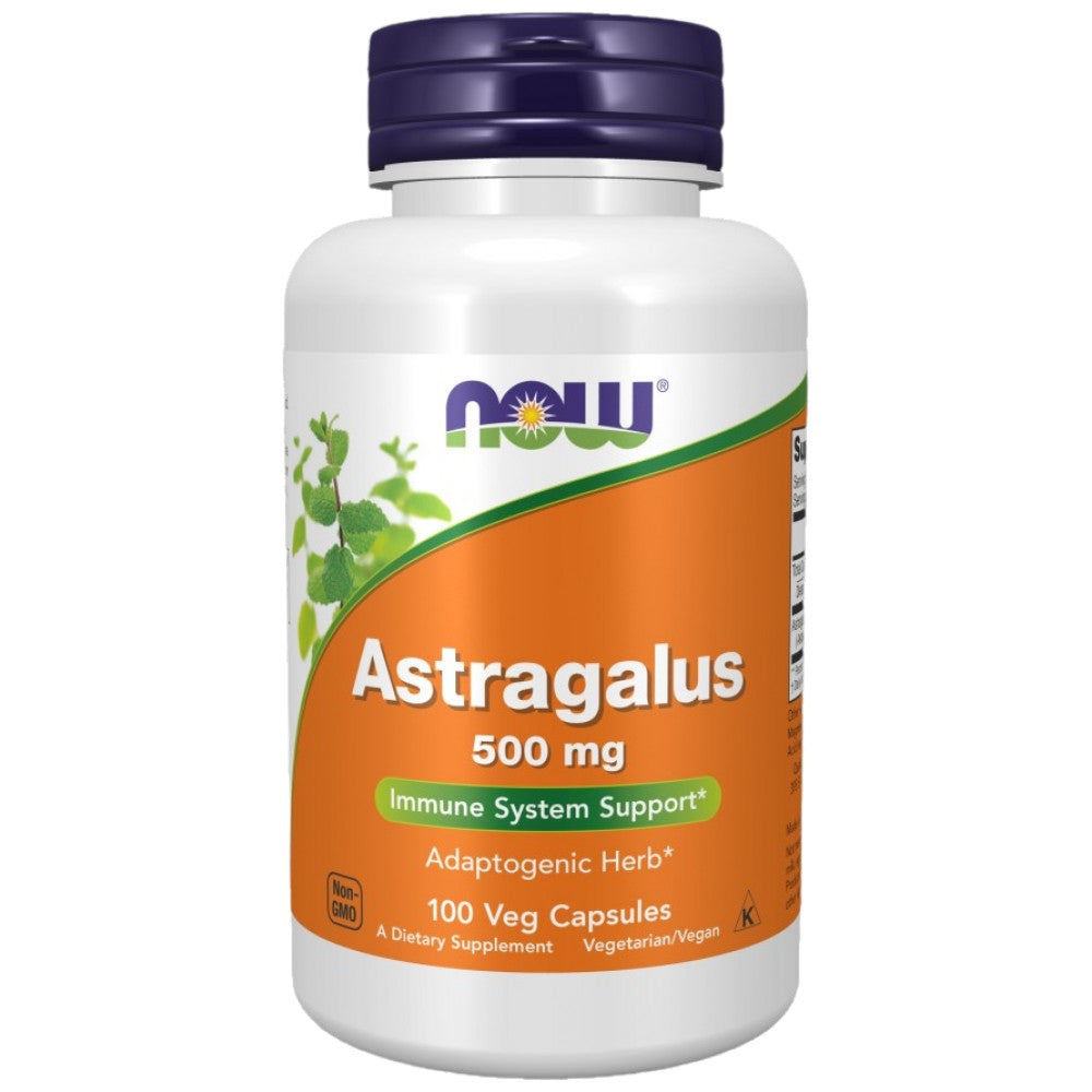 Astragalus 500 mg - 100 Kapseln