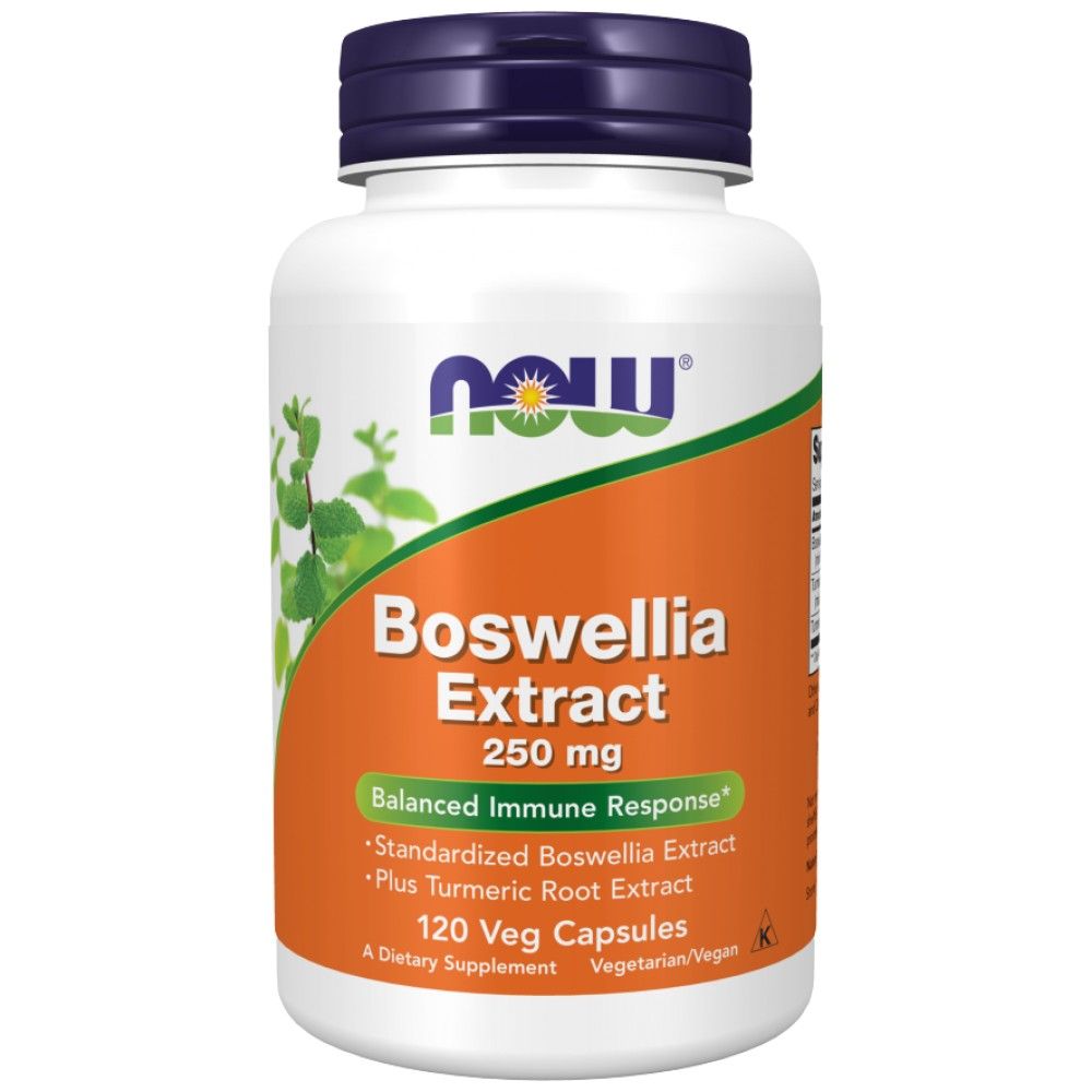 Boswellia Extract 250 mg - 120 Kapseln
