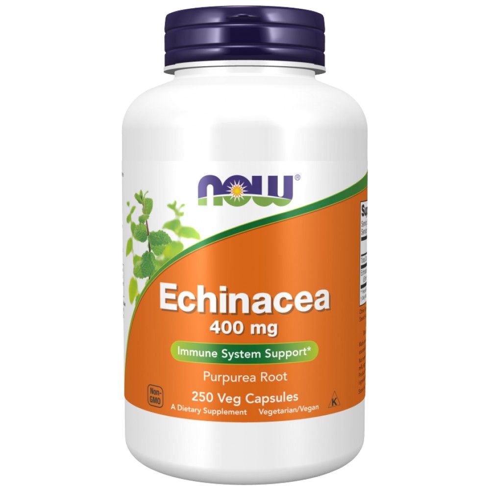 Echinacea 400 mg - 100 Kapseln