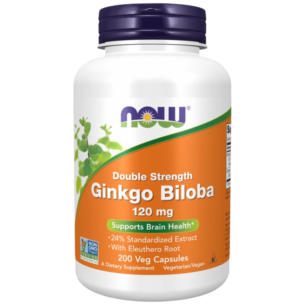 Ginkgo Biloba 120 mg / Doppelstärke - 200 Kapseln