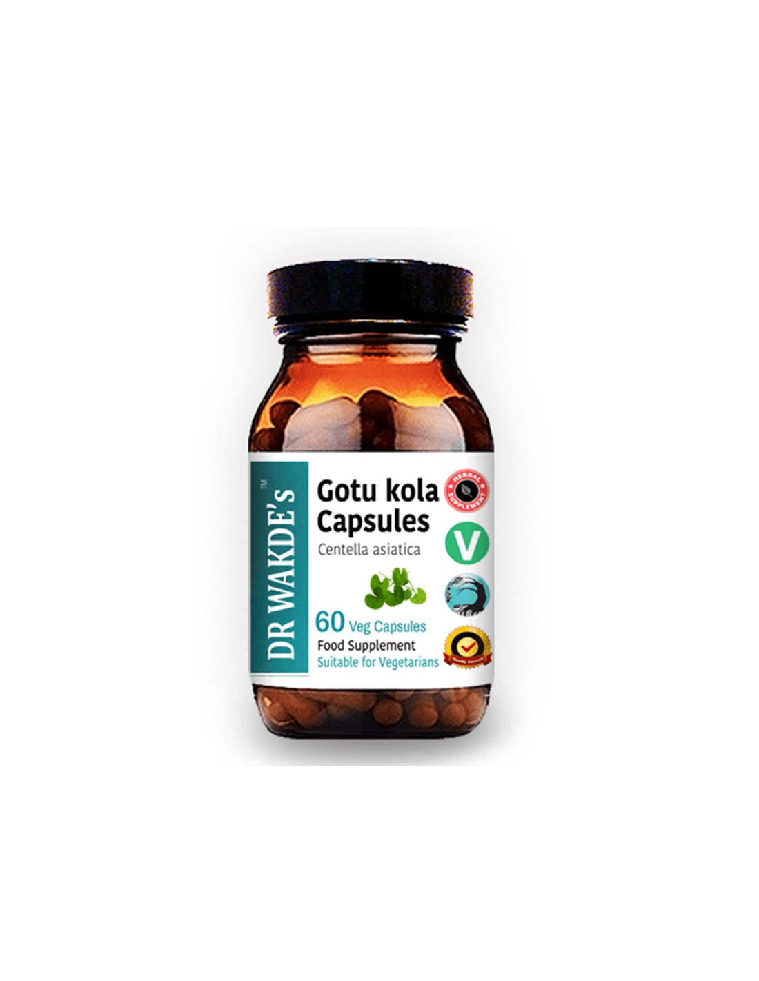 Durchblutung, kalte Extremitäten – Gotu Kola, 60 V Kapseln