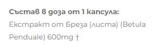 Birkenextrakt 600 mg – 60 Kapseln