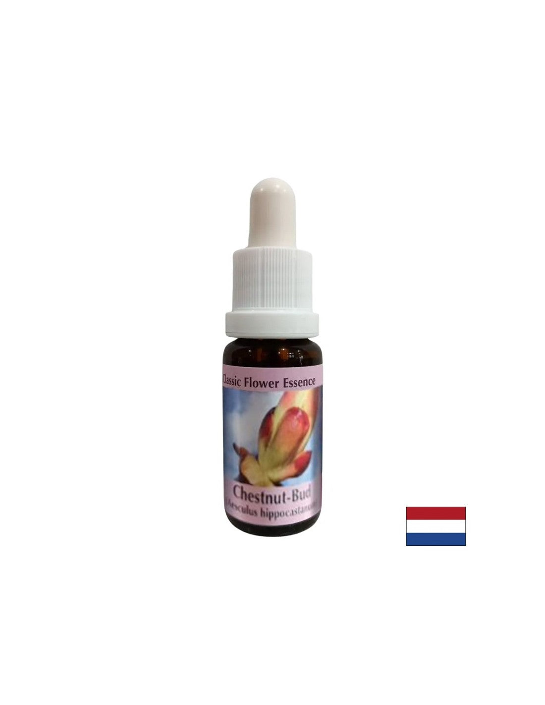 Entfernt Energieblockaden – Chestnut Bud Essence Nr. 7, Tropfen 15 ml