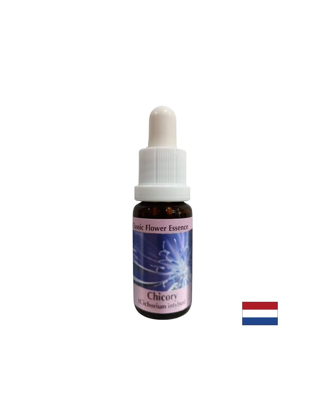 Um sich auf sich selbst zu konzentrieren – Chicorée-Essenz Nr. 8, Tropfen 15 ml