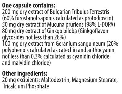Fähige männliche 90 Kapseln