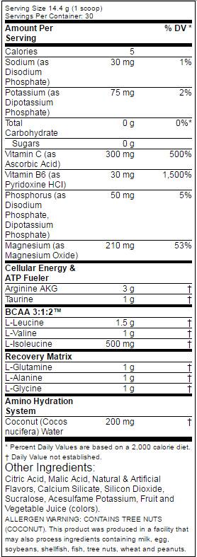 Amino 1 Hydrate + Recover 432 Gramm