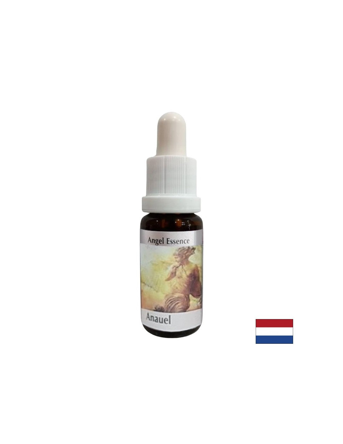 Hilft, die Bedeutung von Geld zu verstehen – Angel Essence Nr. 1, Tropfen 15 ml