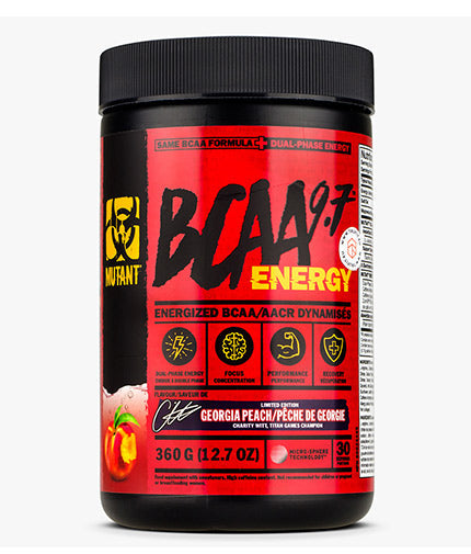BCAA 9,7 ENERGIE – 0,360 kg
