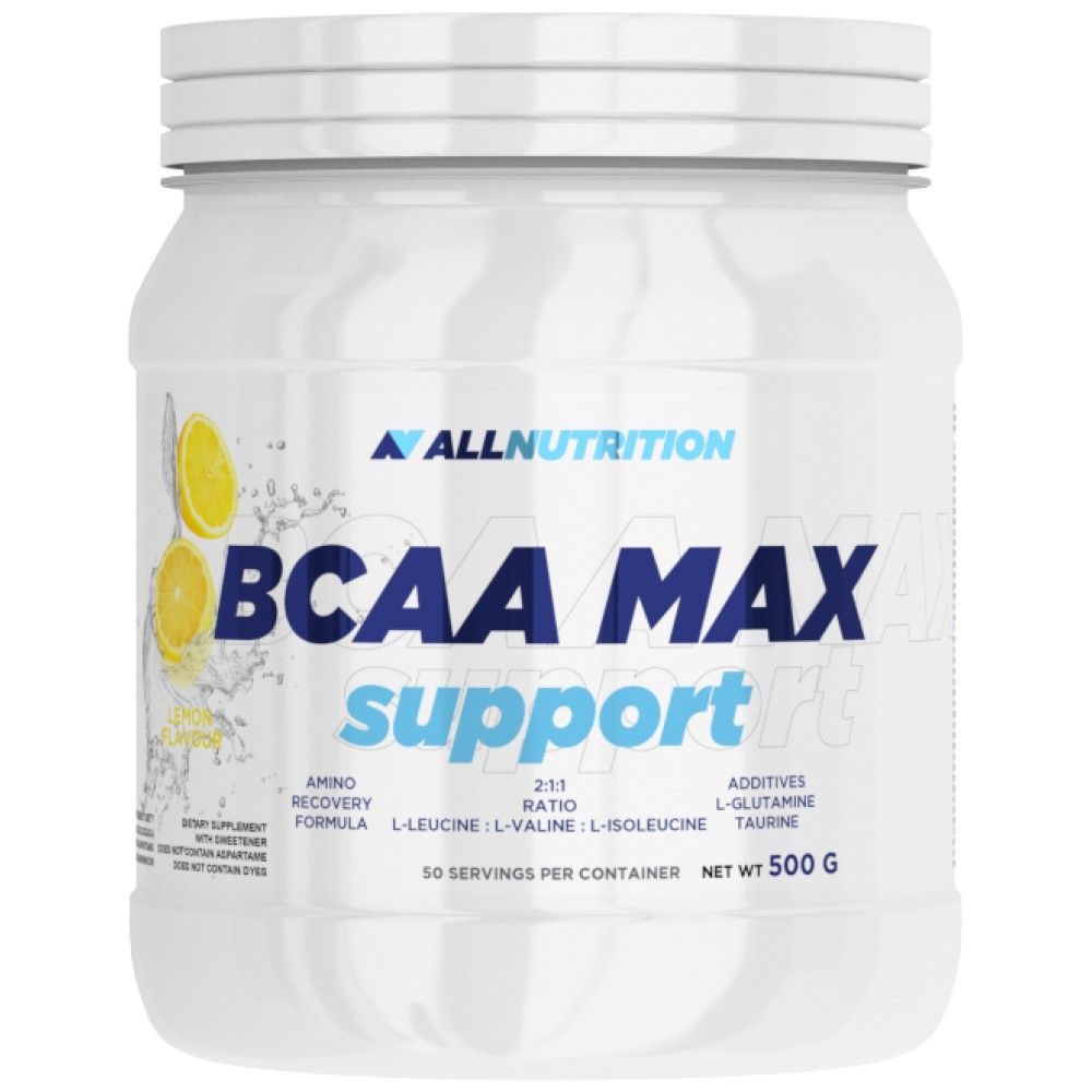 BCAA Max Support – 500 Gramm