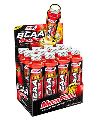 BCAA MegaFuel 6000/150 ml./12 Ampere. - 1.800 kg