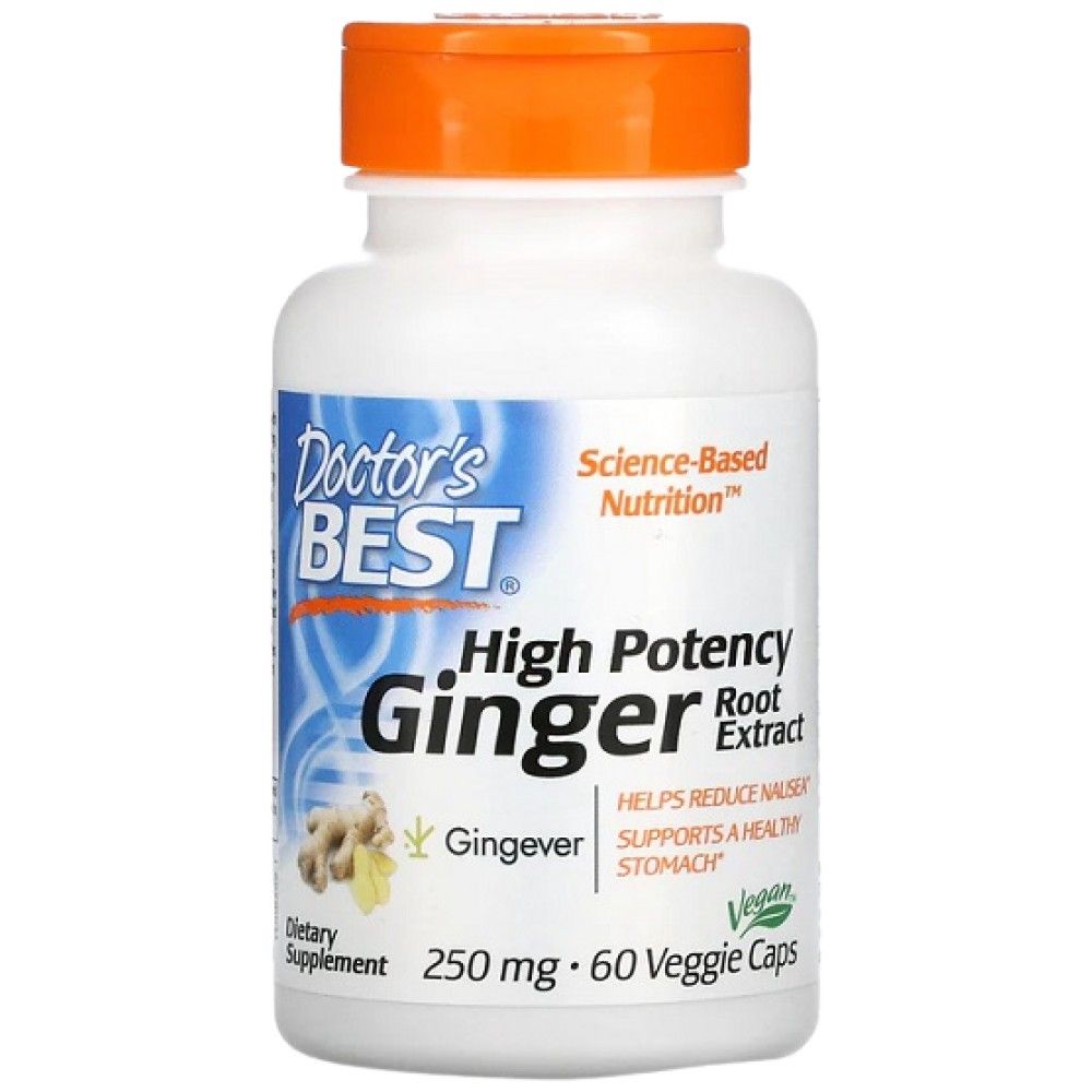 BESTER Ingwerwurzelextrakt 250 mg | Hohe Wirksamkeit – 60 Kapseln