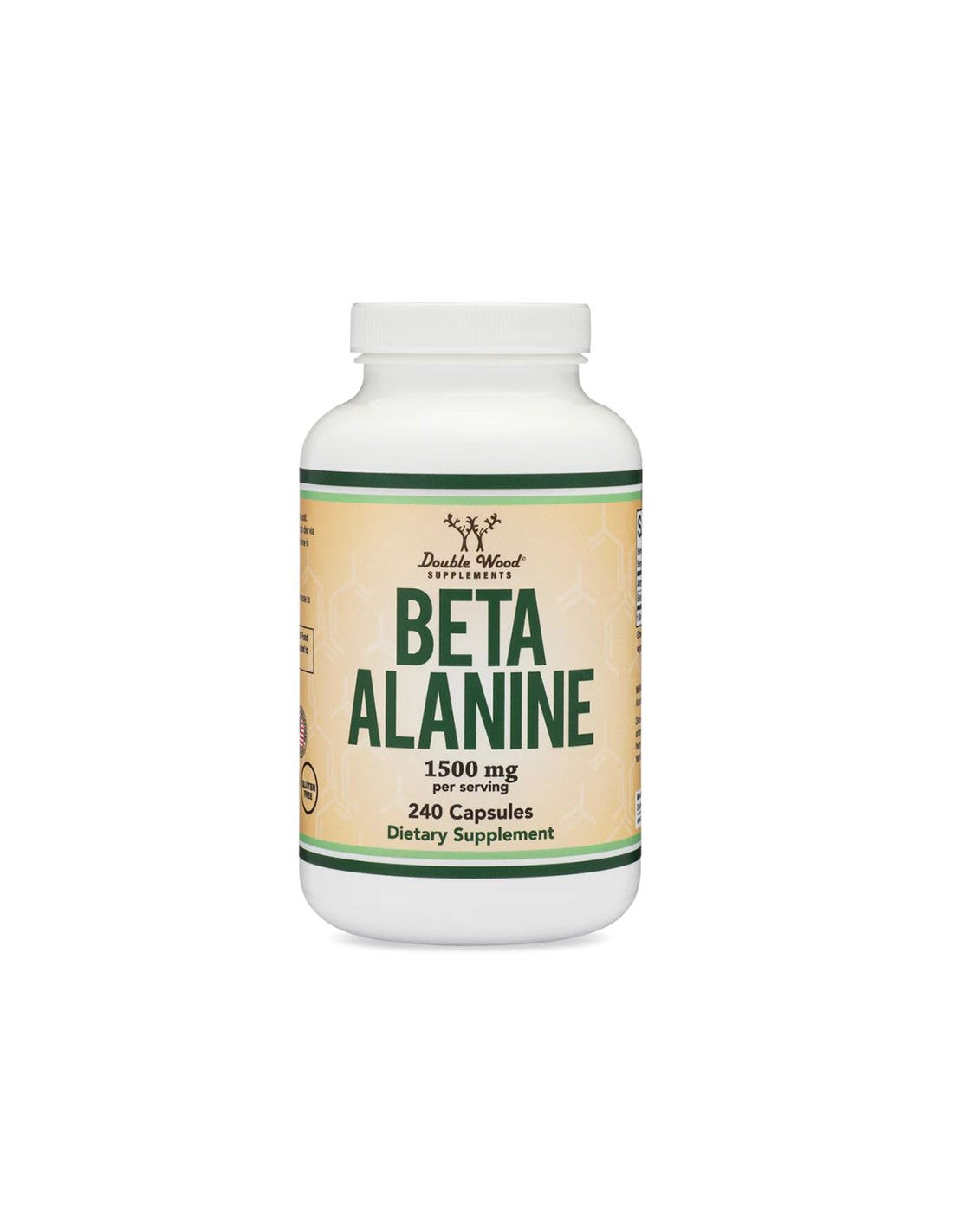 Beta Alanin – 240 Kapseln