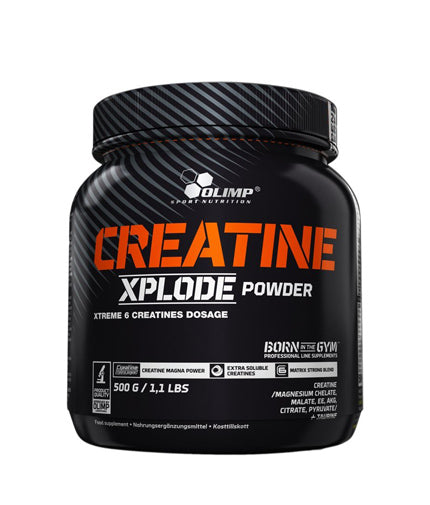 CREATINE XPLODE – 500 Gramm