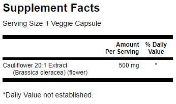 Grüne Tee / 90 Registerkarten