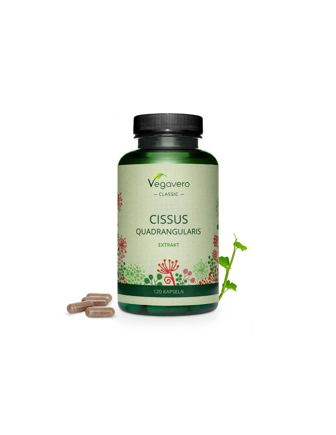Cissus Quadrangularis, 120 Kapseln, 100 % vegan <tc>Vegavero</tc>
