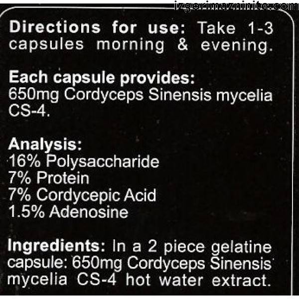 Cordyceps CS-4 90 Kapseln