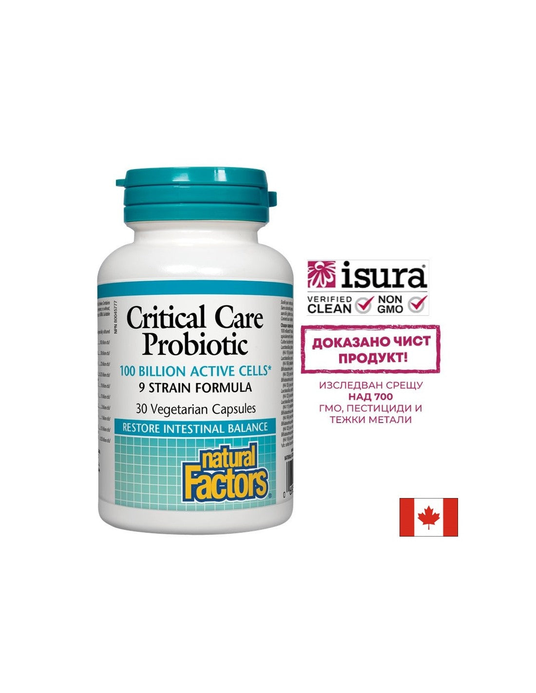 Critical Care Probiotic 100 Milliarden aktive Zellen, 9-Stämme-Formel – 30 Kapseln