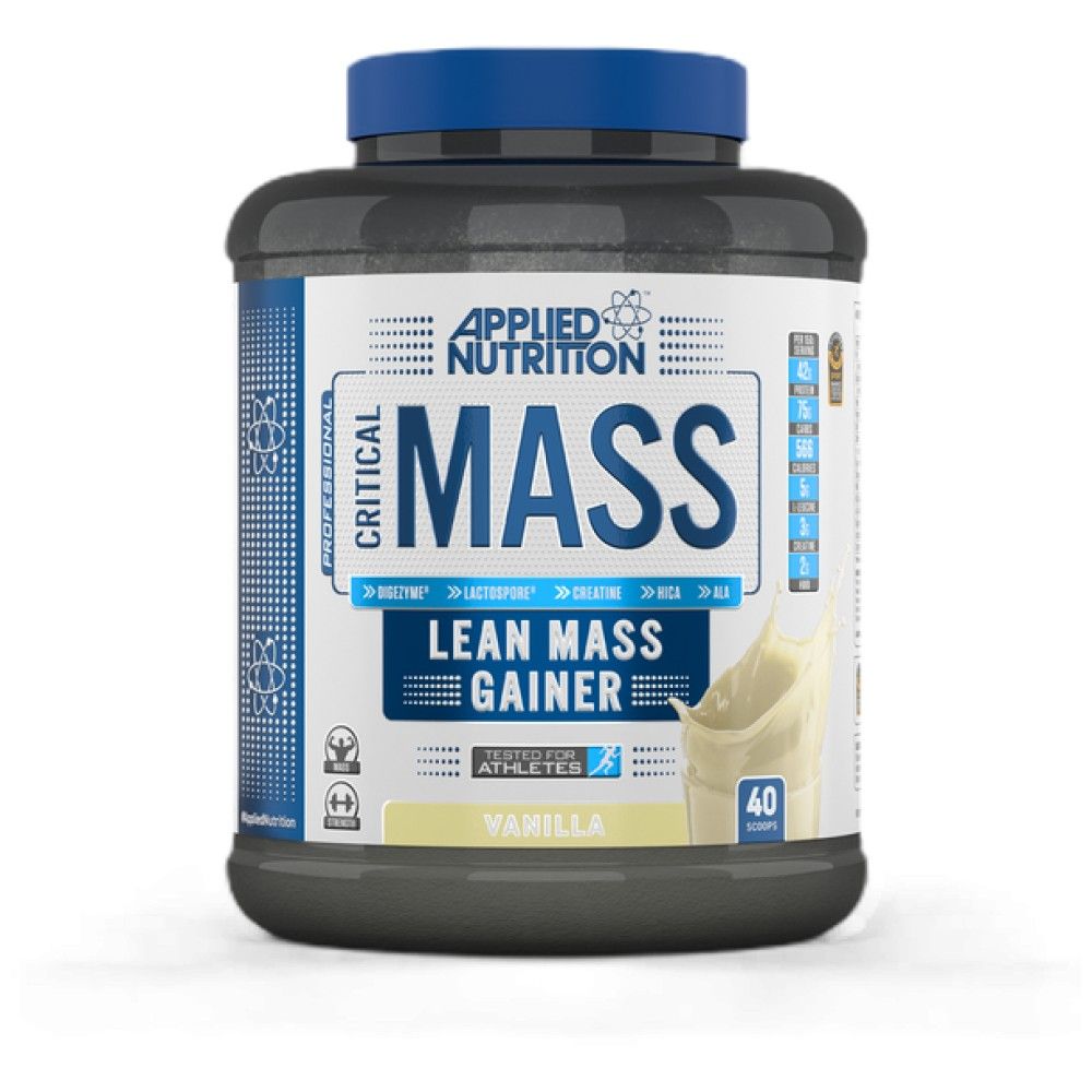 Kritischer Massenprofi - 2400 Gramm