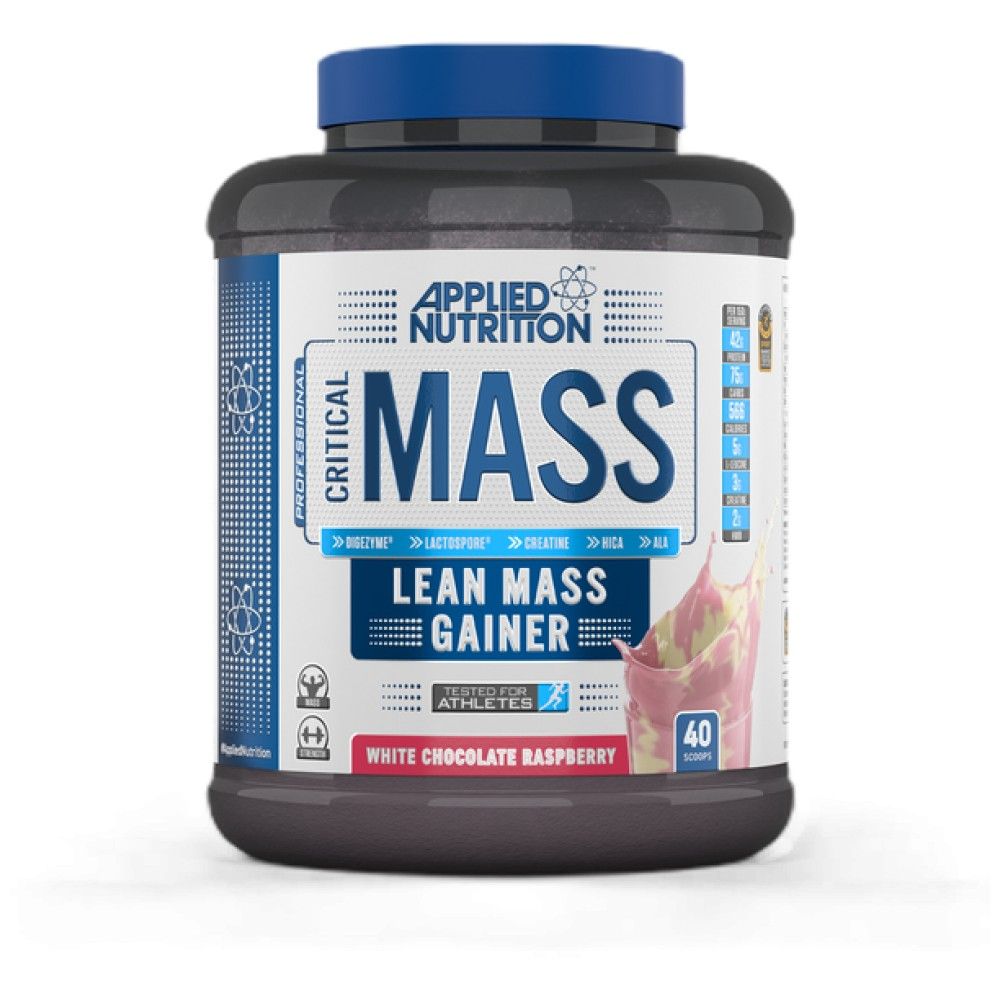 Kritischer Massenprofi - 2400 Gramm