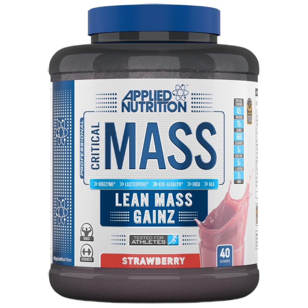 Critical Mass Professional – 2400 Gramm