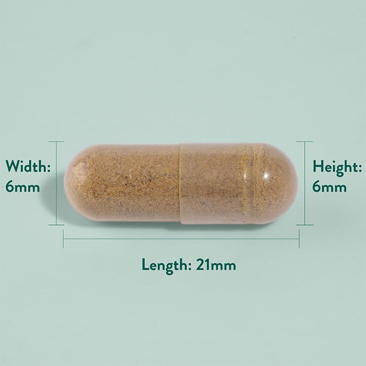 Kräuter-Verdauungs- und Enzymformel 90 Kapseln HOLLAND & BARRETT