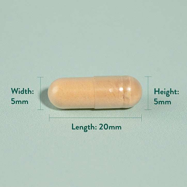 Mariendistelextrakt (Milk Thistle) 60 Kapseln HOLLAND & BARRETT