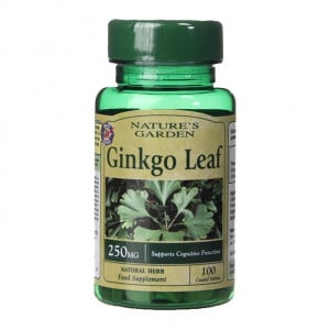 Ginkgo Biloba 250 mg 120 Tabletten HOLLAND & BARRETT