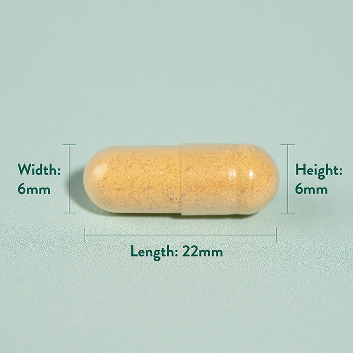 Kurkuma 500 mg 240 Kapseln HOLLAND & BARRETT