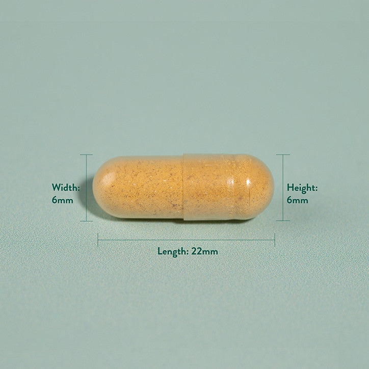 Kurkuma 500 mg 90 Kapseln HOLLAND & BARRETT