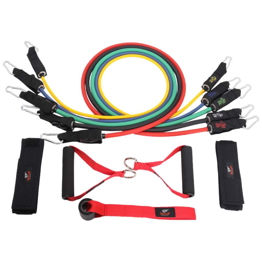 Curcumin & Piperine+ / 90 Registerkarten