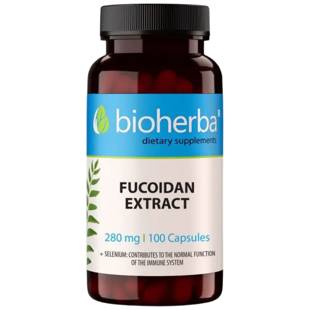 Fucoidan-Extrakt 280 mg – 100 Kapseln
