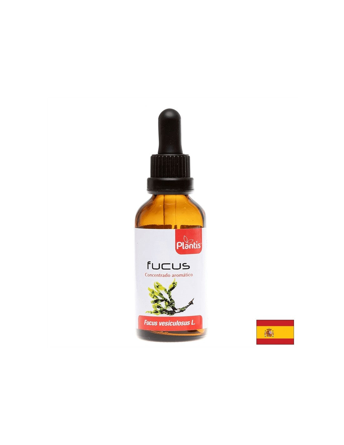 Fucus/ Fucus - Blasenalge (Tinktur)/ Bei Jodmangel 50 ml Arte<tc>san</tc>ia
