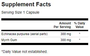 Volles Spektrum -Echinacea- und Myrrh -Kaugummi 60 Kapseln