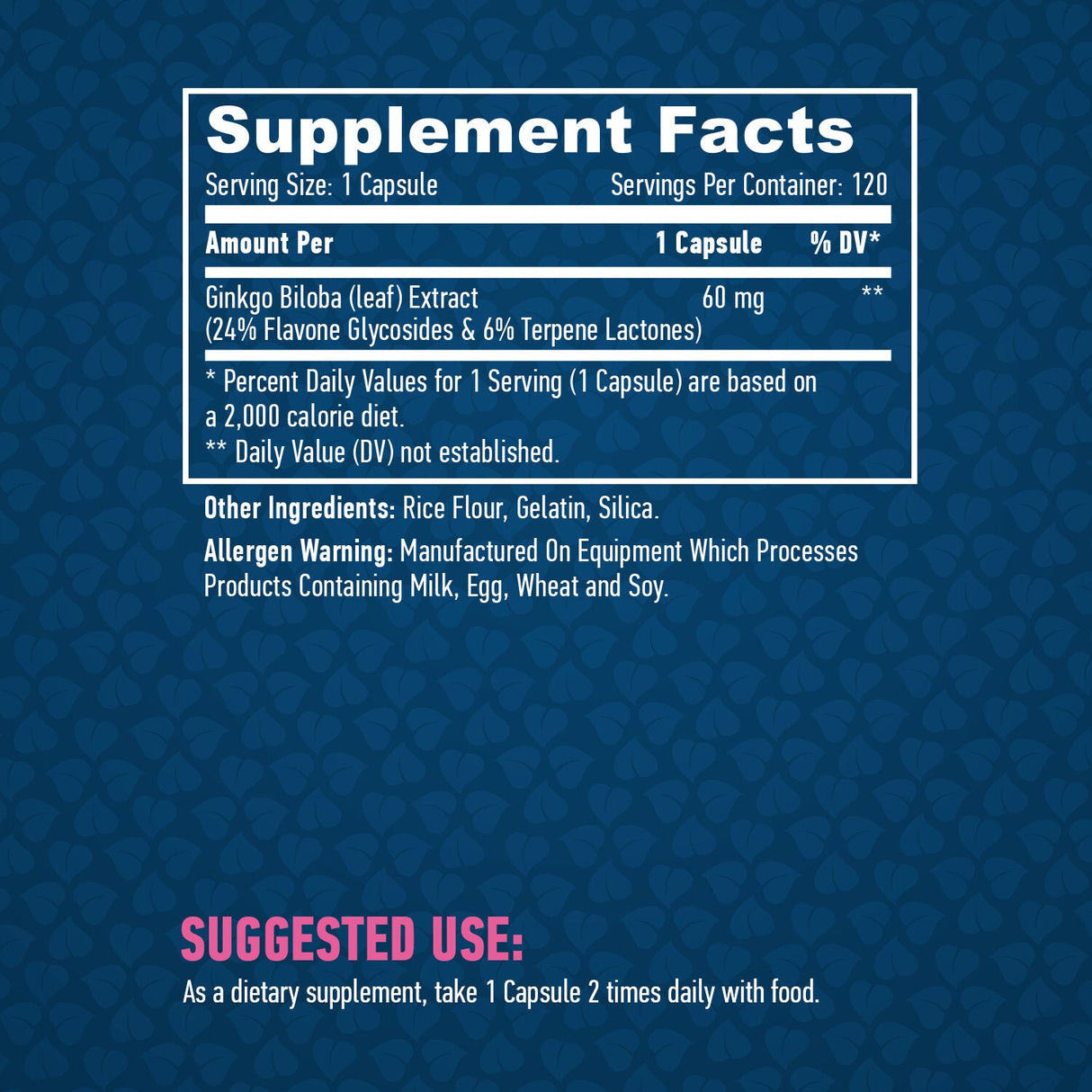 Ginkgo Biloba 60 mg./120 Kapseln.