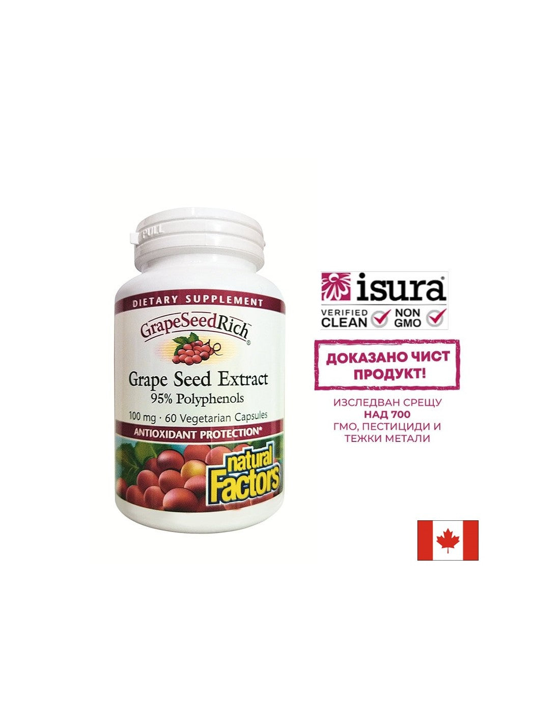GrapeSeedRich | Traubenkernextrakt 100 mg – 60 Kapseln